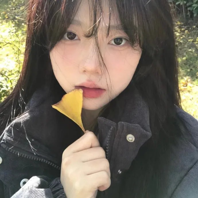 夏焰晚风